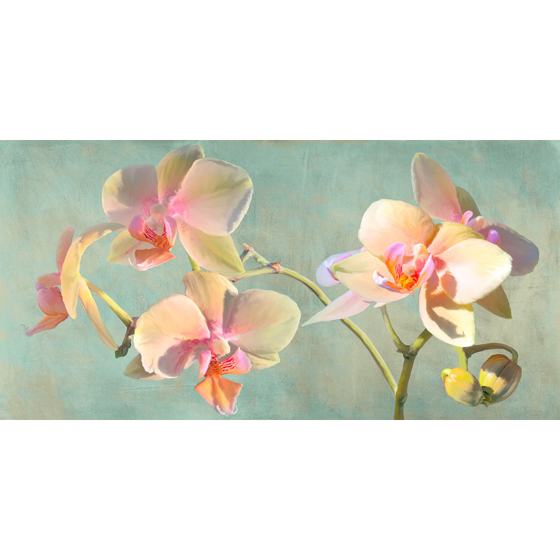 2LC5821 Jewel Orchids by Luca Villa - Wrapped Canvas Art Prints, 50cm H x 100cm W x 4cm D