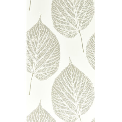 Leaf Wallpaper