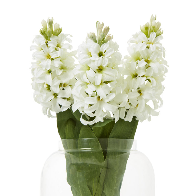 Hyacinth Stem, White