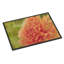 Non-Slip Outdoor Doormat-16654651