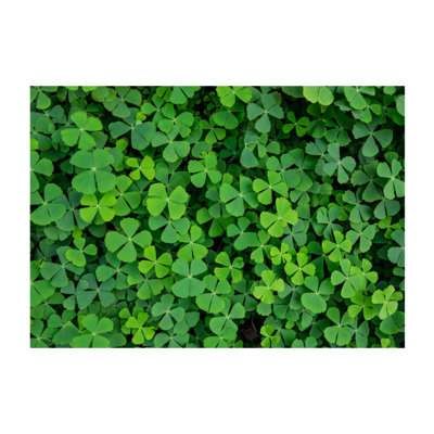 Green Clover Semi-Gloss Paste the Wall Mural