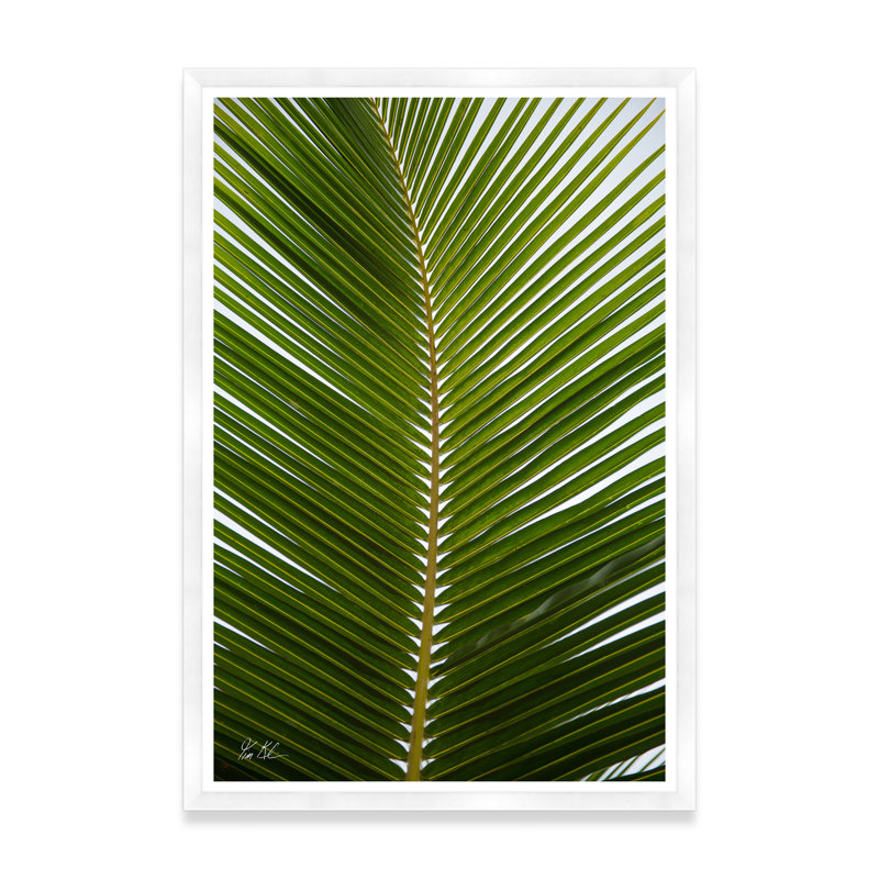 Palmier tropical, H 54,75 po x l 37,5 po x P 1,5 po, Lustre photo encadré, Cadre blanc