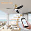 Ventilateurs de plafond intelligents à 3 pales de 46 po avec éclairage à DEL à distance, moteur à courant continu silencieux, à intensité variable, intérieur extérieur, contrôlé par WIFI Alexa App-13861272-13861274