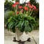Ryne Weather Resistant Planter Feet