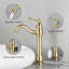 Grands robinets de lavabo de salle de bain à poignée simple HGN avec bonde escamotable-107440516