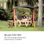2 Person Porch Swing with Canopy