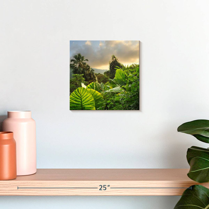 Alvord Borneo Rainforest, 10" H x 10" W