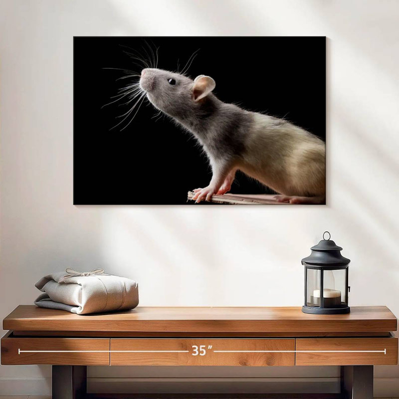 Brampt Rat Close Up, 24" H x 36" W
