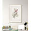 Nesting Navigators Ivory 4 Print-1584710612