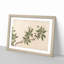 Flowers of the Four Seasons Vol.3 by Shen Zhou - Framed Print-55576495-55576498