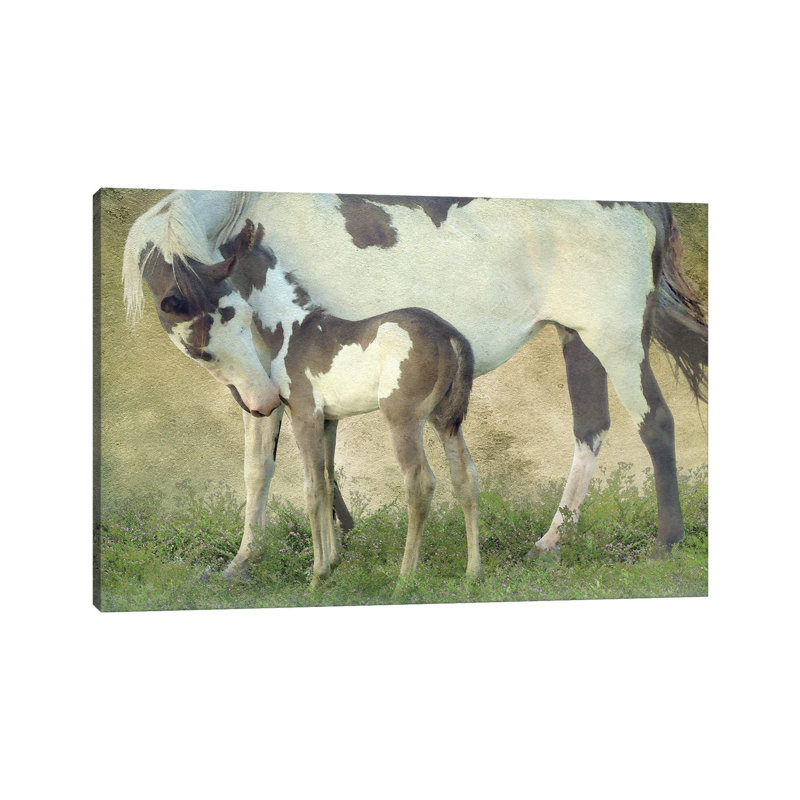 Wild & Free III by Steve Hunziker - Gallery-Wrapped Canvas Giclée on Canvas, Wrapped Canvas, 20.32 cm H x 30.48 cm W