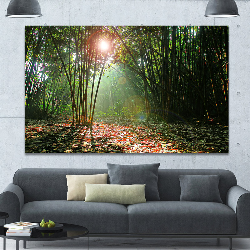 " Amazing Green Forest At Sunset ", 12" H x 20" W x 1" D
