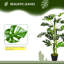100cm Faux Ivy Plant in Cement Pot