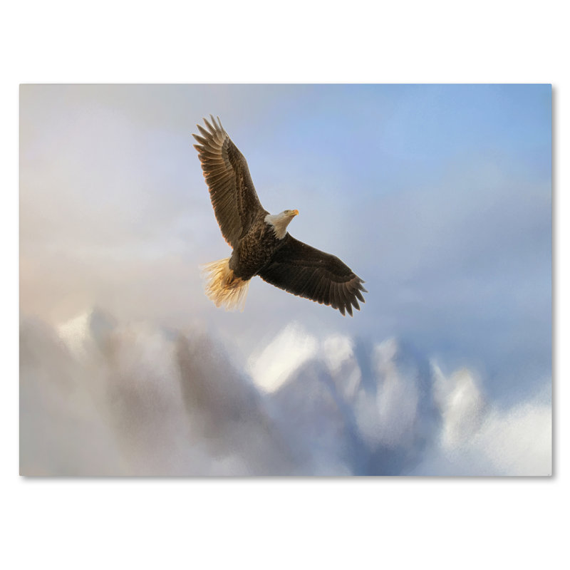 «Rise Above Bald Eagle» de Vidur, impression sur toile tendue, H 35 po x l 47 po
