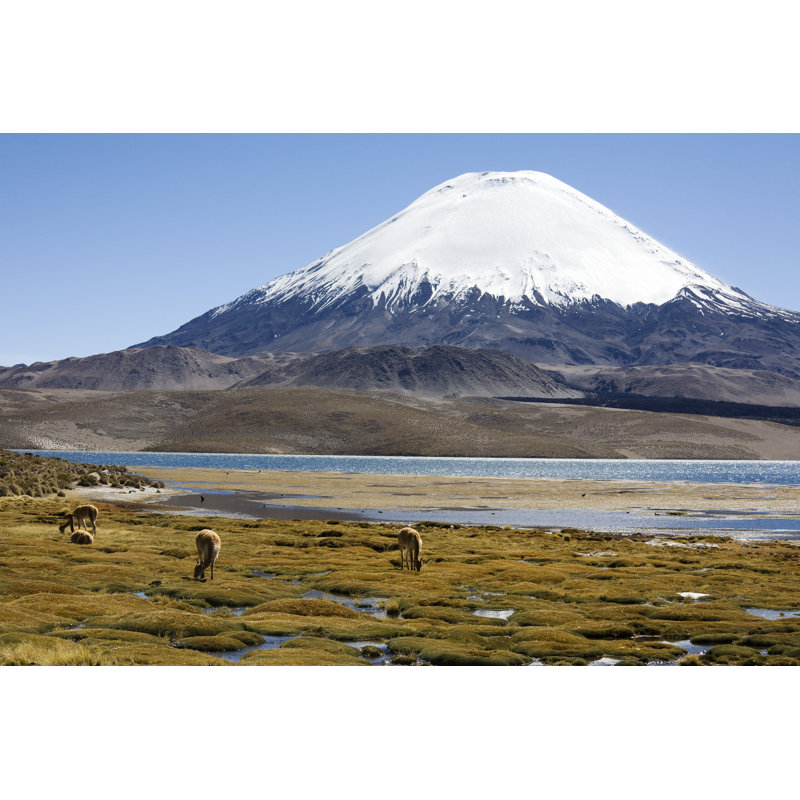 Volcano And Vicuna by Stevegeer - Wrapped Canvas Print, 51cm H x 76cm W x 3.8cm D