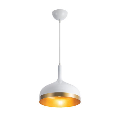 Luminaire suspendu 1 lumière Bostobrick