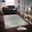 Antibacterial Hall Carpet, 39.4 x 59.1 inches | 100% Polyester, 0.4 in Pile Height, Non-Slip PVC Felt Dot Underside | Machine Washable, 3D Digital Printing, Durable & Stylish for Modern Home Décor-1789458750