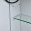 Selda 50 mm W Surface Mirrored Bathroom Cabinets with Mirror and 2-1838901098