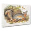 Grey Fox by J.W. Audubon - Wrapped Canvas-55359696