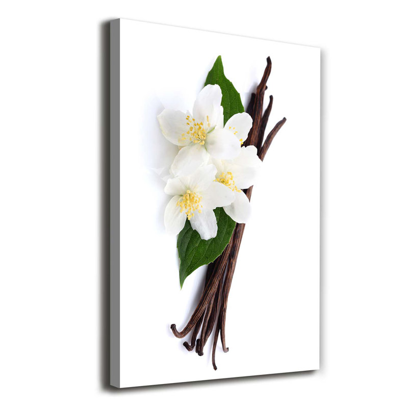 Jasmine And Vanilla - Wrapped Canvas Print