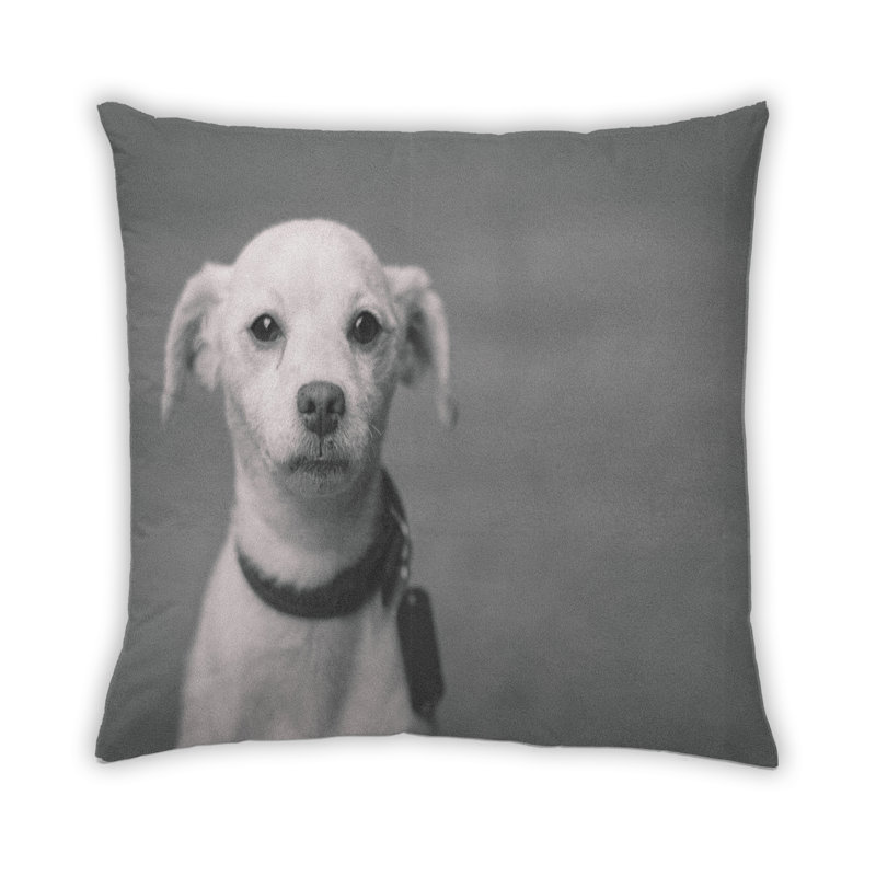 Coussin Dogs Dogs 24, Microsuède