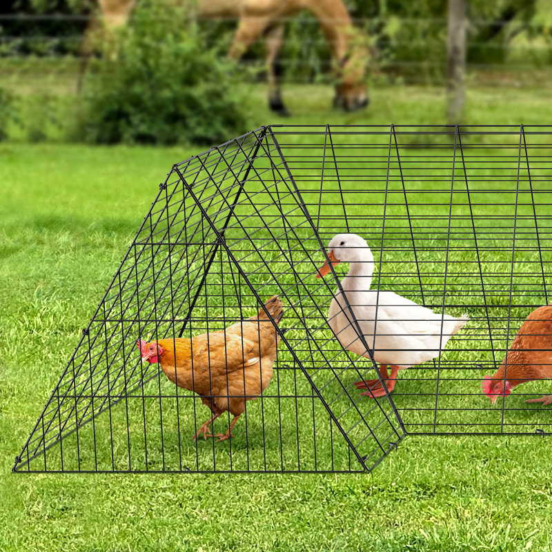 Chicken Run, 61cm H x 398.8cm W x 99.1cm D