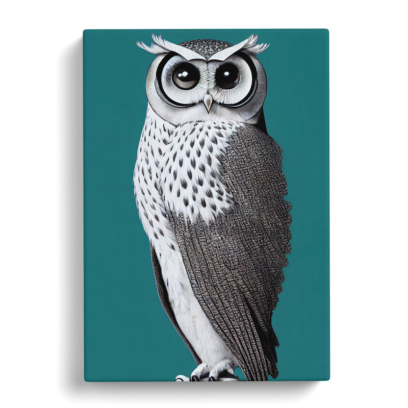 XC1022-1747X Curious Owl - Wrapped Canvas Print, 50cm H x 35cm W x 3cm D