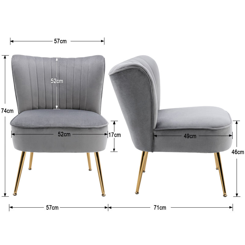 Allyna Velvet Accent Chair, Grey