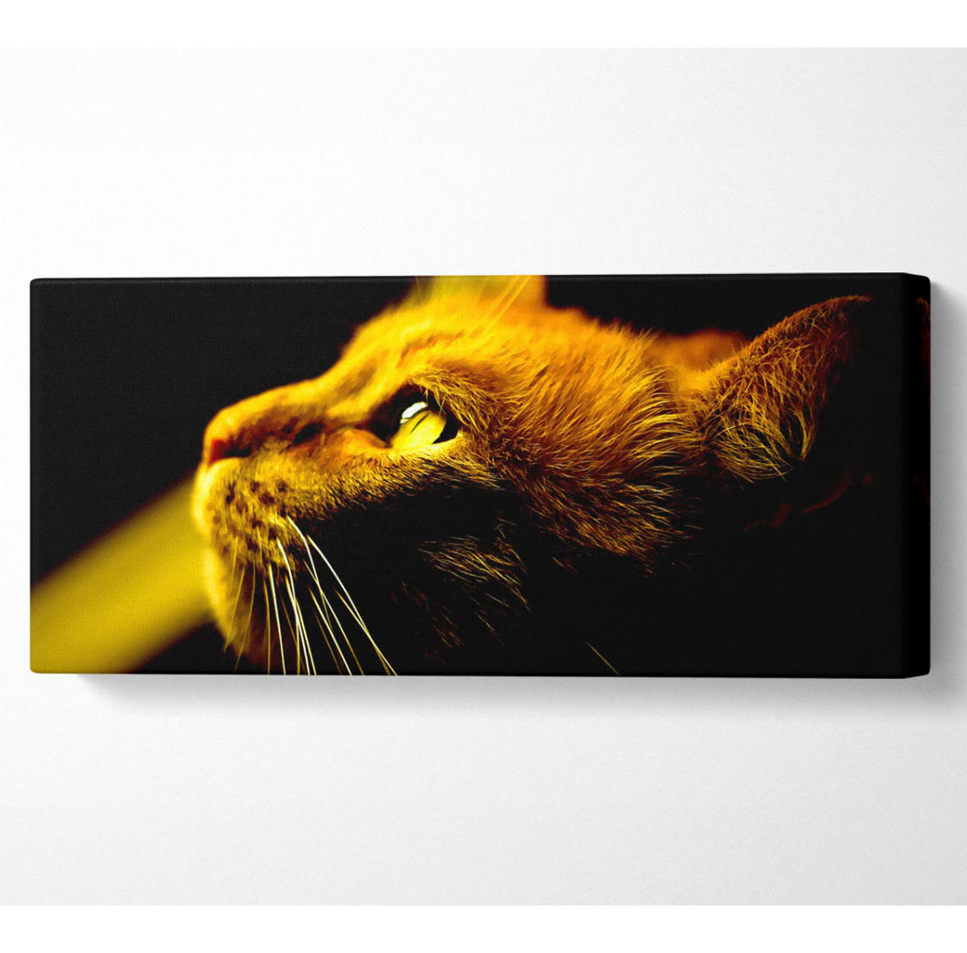 Rotes Katzenprofil - Panorama-Kunstdrucke auf Leinwand - Wrapped Canvas