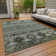 Machine Washable Indoor/Outdoor Claudian ACN1626 Fern Rug
