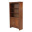 Bibliothèque standard DUFREEN-188895552-205051816