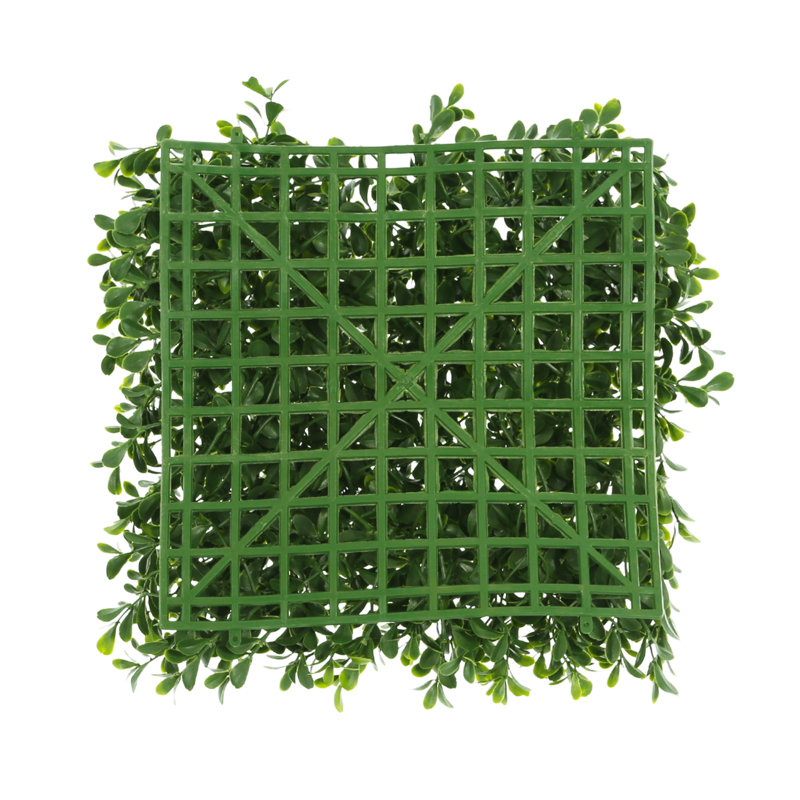 Set Of 24 Boxwood Mats, 12