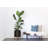 Riverside Handmade Ceramic Pot Planter-1100065970-1105923691