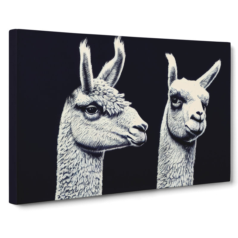 Two Llamas Vol.4 - Wrapped Canvas, 35cm H x 50cm W x 3cm D