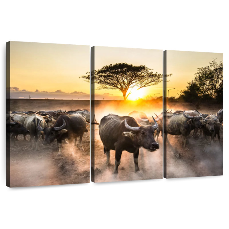 Buffles d'eau de Brampt, Thaïlande, H 20 po x l 33 po