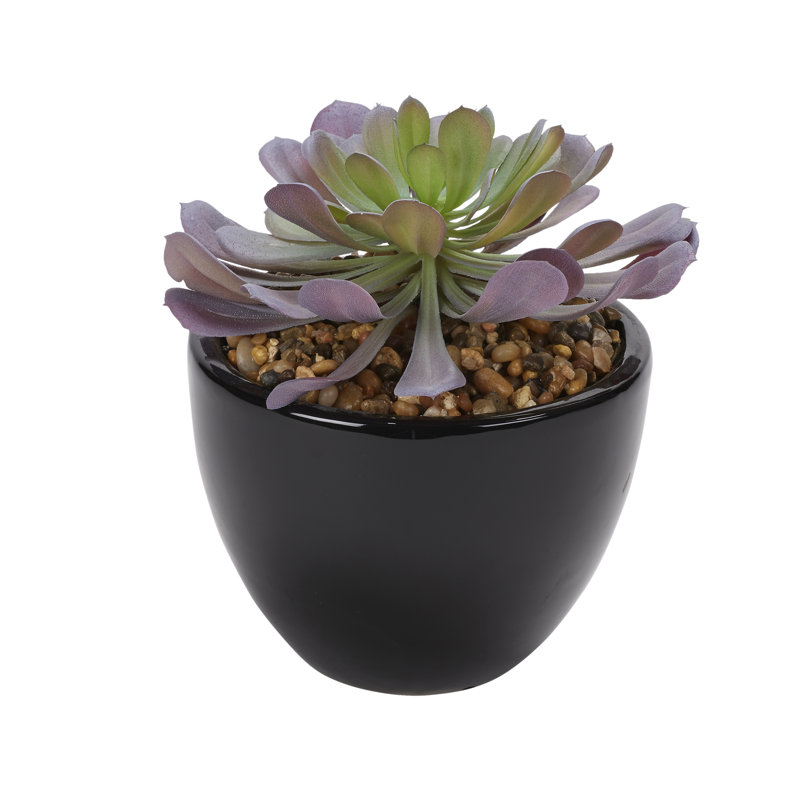 Faux Pinwheel Succulent Succulent in Ceramic Planter