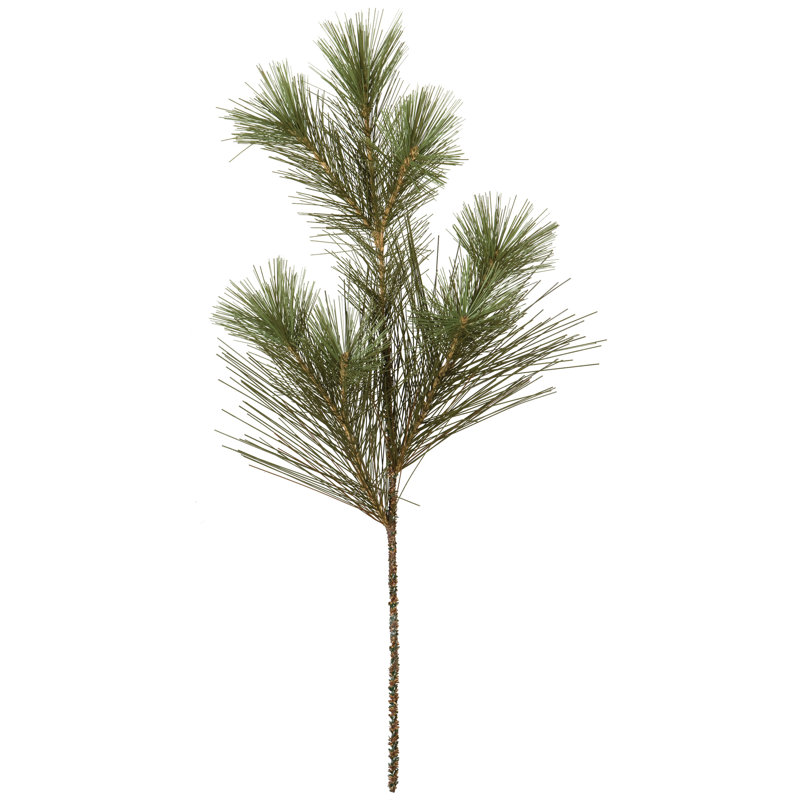 Pin d'Esopus