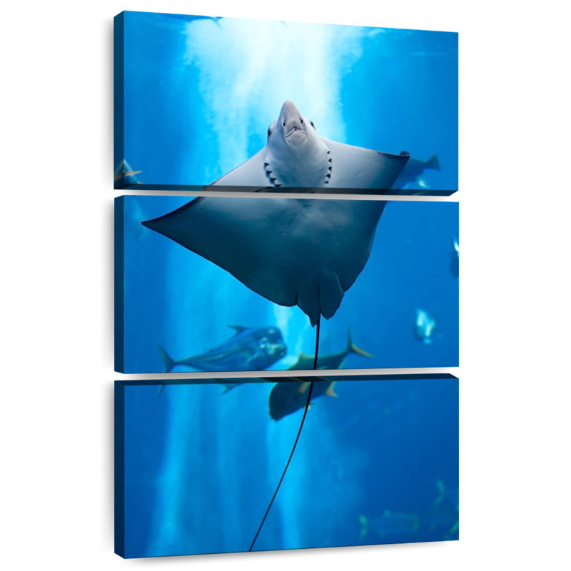 Brampt Manta Ray, 32" H x 20" W