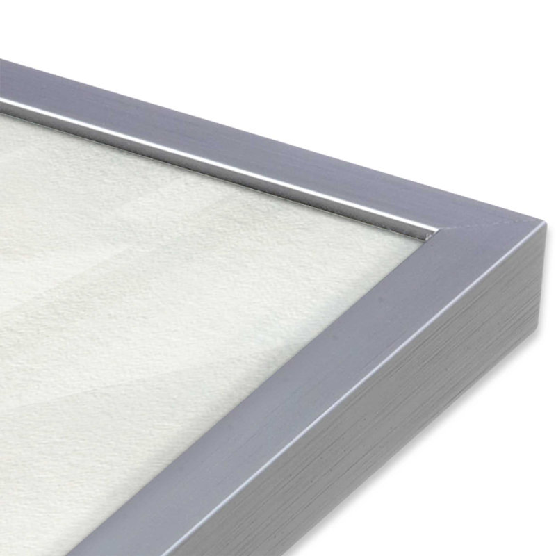 Dreamy White Mare Print, Silver Single Picture Frame, 25.25" H x 19.25" W, White ( Incorrect)