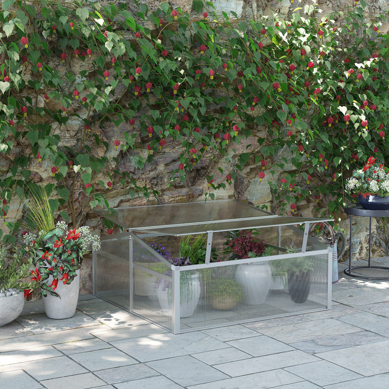 Breshawn 100 cm W x 100 cm D Cold Frame