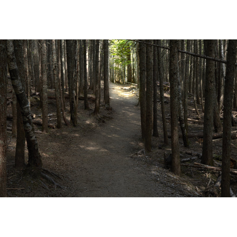 Country Road VI by James McLoughlin - Photograph, 81 cm H x 122 cm W, Wrapped Canvas