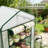 Small Greenhouse,Convenient Mini Greenhouse-123831035