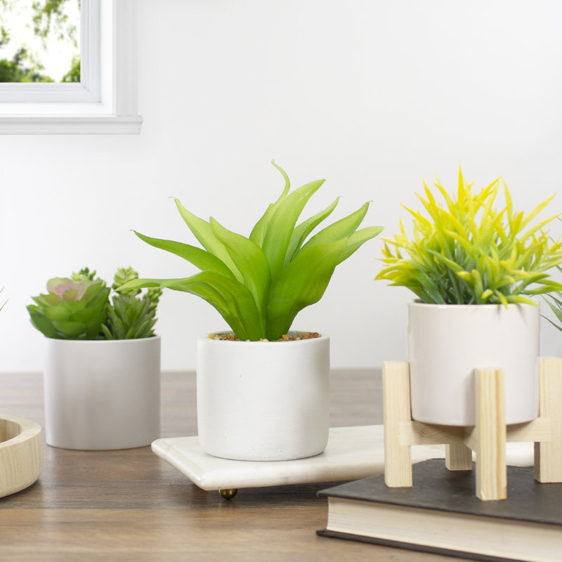 Nordic Green Artificial Aloe Plant in White Concrete Pot