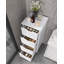 Freestanding Bathroom Storage Cabinet with Four Drawers-62159932