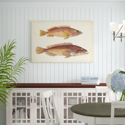 Antique Fish Species I - Painting Print