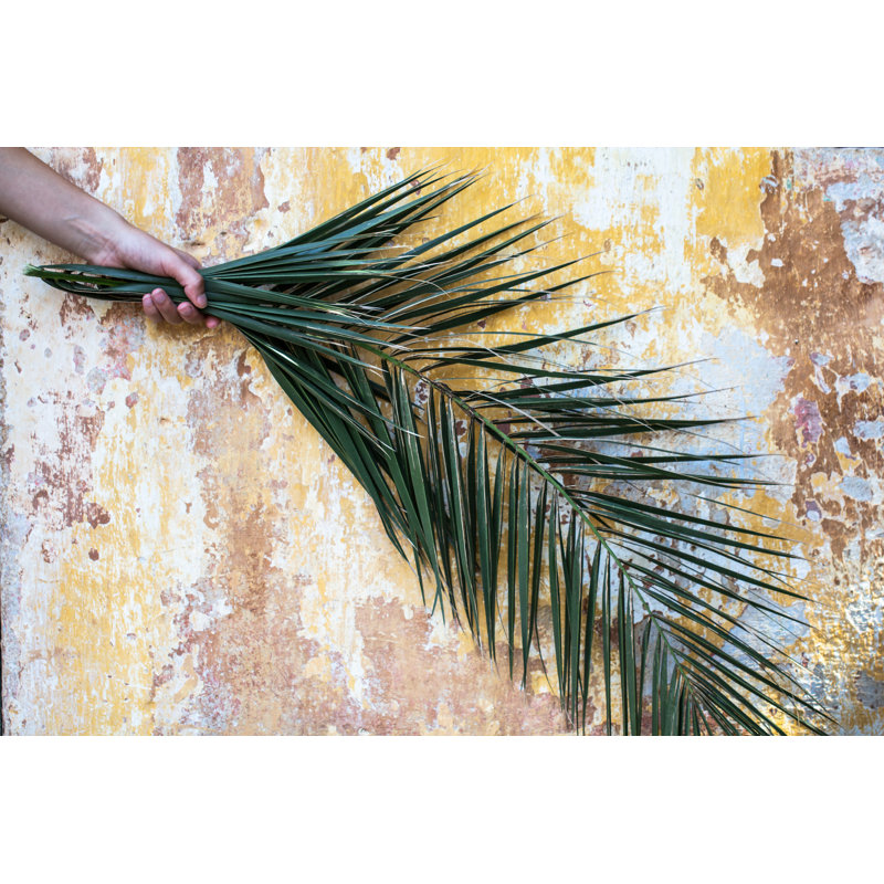 Palm Branch, 51cm H x 76cm W x 3.8cm D