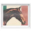 Hue Equine III Shadowbox Animals Print by Oliver Gal, Black Frame, 20 x 16-2147244196-2147244198