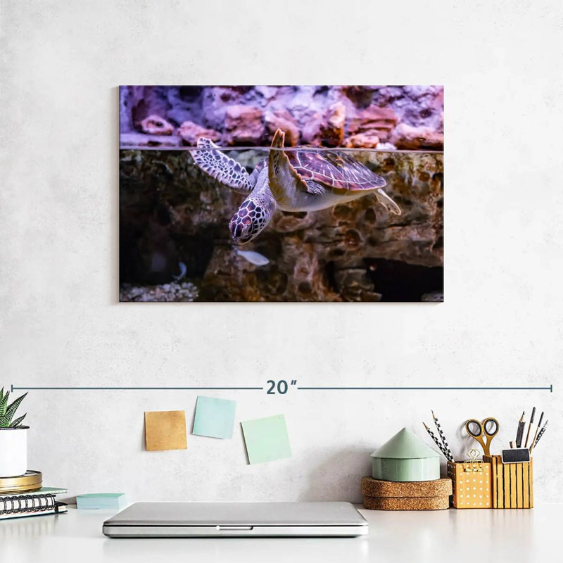 Brampt Turtle Aquarium, 8" H x 12" W