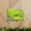 No Frame Print on Canvas-1348659130