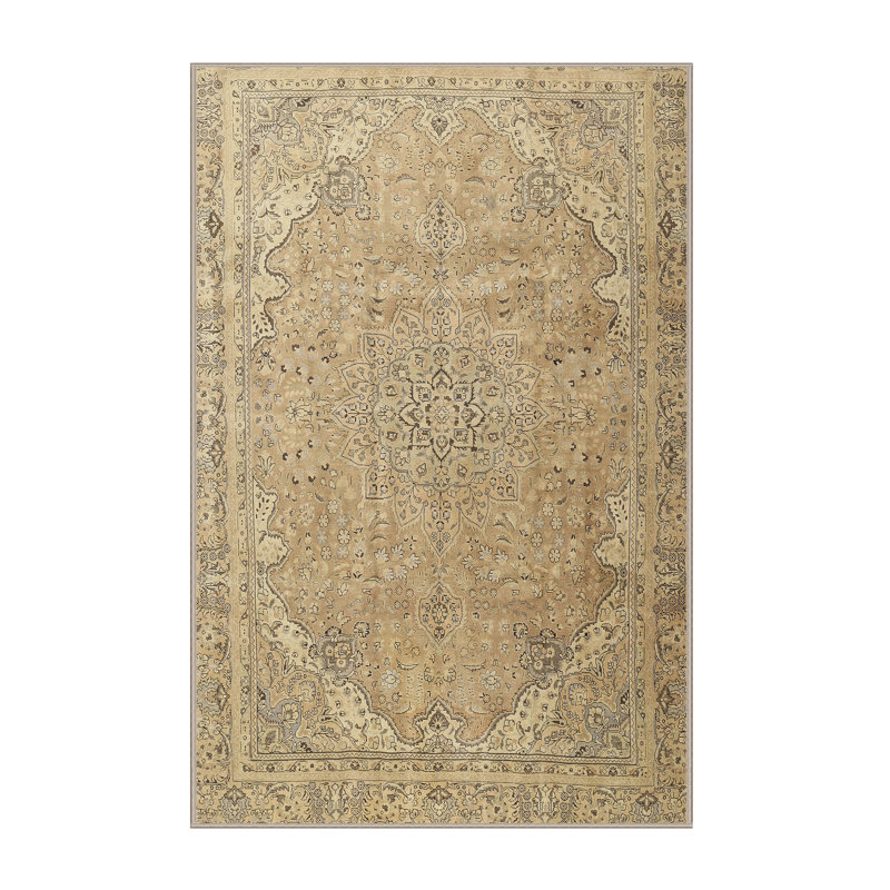 Tapis beige Eakes Southwestern, Rectangle 6 pi x 9 pi